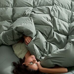 The Company Store Twin Thyme Comforter